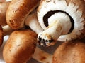 Close-up of several brown mushrooms or cremini