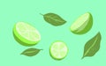 background of several lime slices and leaves, on a blue background Royalty Free Stock Photo