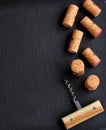 Background of several wine corks with a wooden cork Royalty Free Stock Photo