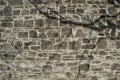 Shadow of tree branches on decorative stone wall. Background. Royalty Free Stock Photo