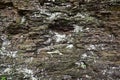 Background of a shale rock wall covered in lichens. Royalty Free Stock Photo
