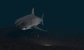 Background of shark model, 3d render Royalty Free Stock Photo