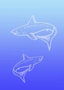 Background sharks