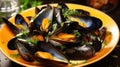 background shell seafood food mussels