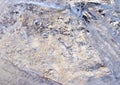 Background of shiny sheer ice in various shades Royalty Free Stock Photo