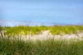 Shoreline grass border and sand dunes against blue sky Royalty Free Stock Photo