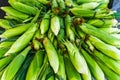 Corn Pile Background