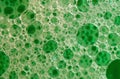 Detergent bubbles Royalty Free Stock Photo