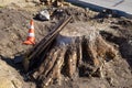 Background with shovels and tree stump. Manual uprooting of tree