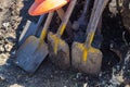 Background with shovels and tree stump. Manual uprooting of tree