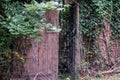 background that shows details of an abandoned house with an old door now invaded by plants. Royalty Free Stock Photo