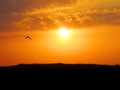 Background of silhouetted grass with sky orange at sunset on Habonim Israel