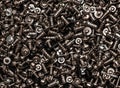 A background of silver screws and bolts. Various screws. Hardware Royalty Free Stock Photo