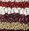 Background of six varieties of beans