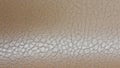 Shiny beige leather background close-up. Beige Glossy Texture Of Artificial Leather. Royalty Free Stock Photo