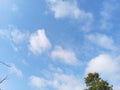 Background sky blue with small cloud and trees.panorama