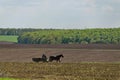 Background of sky, clouds, field and cart Royalty Free Stock Photo