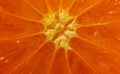 Background with slice a tangerine.