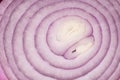 A background of sliced red onion, close up Royalty Free Stock Photo