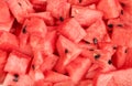 Background of sliced watermelon pieces with seeds. Full frame texture Royalty Free Stock Photo