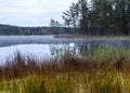 In the background a small bog lake in the early autumn morning, fog on the lake surface, dry grass in the foreground, tree Royalty Free Stock Photo