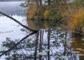 In the background a small bog lake in the early autumn morning, fog on the lake surface, dry grass in the foreground, tree Royalty Free Stock Photo