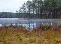 In the background a small bog lake in the early autumn morning, fog on the lake surface, dry grass in the foreground, tree Royalty Free Stock Photo