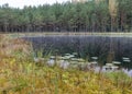 In the background a small bog lake in the early autumn morning, fog on the lake surface, dry grass in the foreground, tree Royalty Free Stock Photo