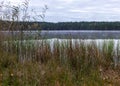 In the background a small bog lake in the early autumn morning, fog on the surface of the lake, dry grass, reeds and moss in the Royalty Free Stock Photo