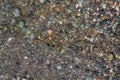 Background of small gravel on the shore of the Black Sea Royalty Free Stock Photo