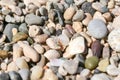 Background of small multicolored sea pebbles and seashells Royalty Free Stock Photo