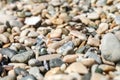 Background of small multicolored sea pebbles and seashells Royalty Free Stock Photo