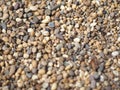 Background of small pebbles round sea stones texture rocks material
