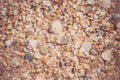 background small shells, shell fragments. Sea Shore many different crushed shells forming a beautiful background pattern Royalty Free Stock Photo