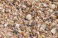 background small shells, shell fragments. Sea Shore many different crushed shells forming a beautiful background pattern Royalty Free Stock Photo