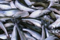 Background of small sprat fish close-up. Fish background. Benefits of fish Royalty Free Stock Photo