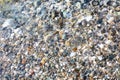 Background with small stones under water Royalty Free Stock Photo