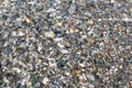 Background with small stones under water Royalty Free Stock Photo