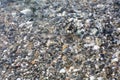 Background with small stones under water Royalty Free Stock Photo