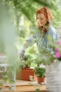 Smiling woman replanting flowers