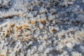 Background snow crystals