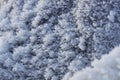 Background snow crystals