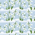 Background with snowdrops