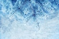 Background snowy christmas trees blue