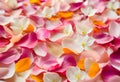 Soft peach flower petals on a fresh background.AI Generated