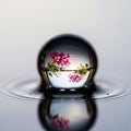 The background is softly blurred, emphasizing the sphere\'s reflective nature Royalty Free Stock Photo