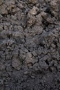 Background of soil humus, Black clay soil texture, Soil organic for planting