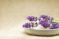 Background - Spa bath salt and lavender Royalty Free Stock Photo