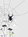 Background with spider Royalty Free Stock Photo