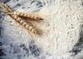 Background from the spilled flour and wheat ears on a baking tray Royalty Free Stock Photo